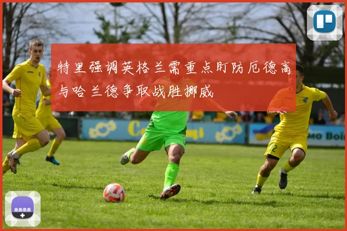 特里强调英格兰需重点盯防厄德高与哈兰德争取战胜挪威