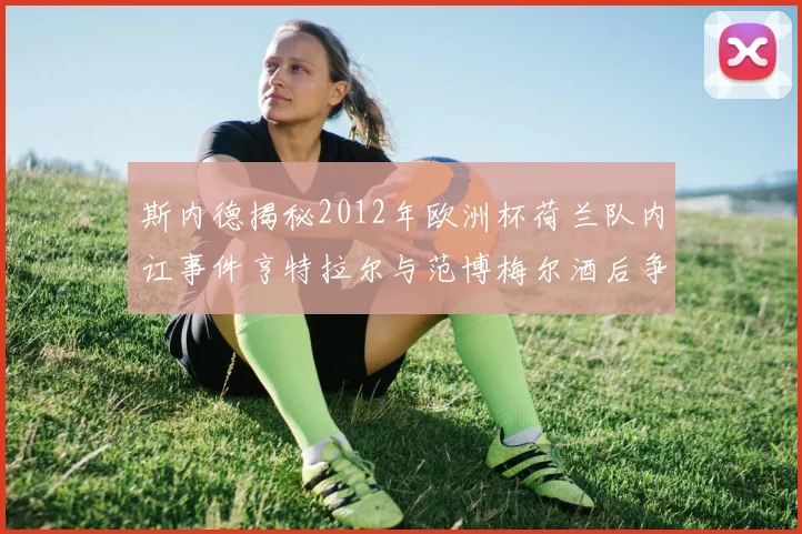 斯内德揭秘2012年欧洲杯荷兰队内讧事件亨特拉尔与范博梅尔酒后争执内幕